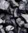 The Role of Steam Coal Suppliers in the Energy Sector